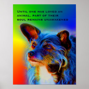 Liefde voor dieren Citaat Inspirerend Poster
