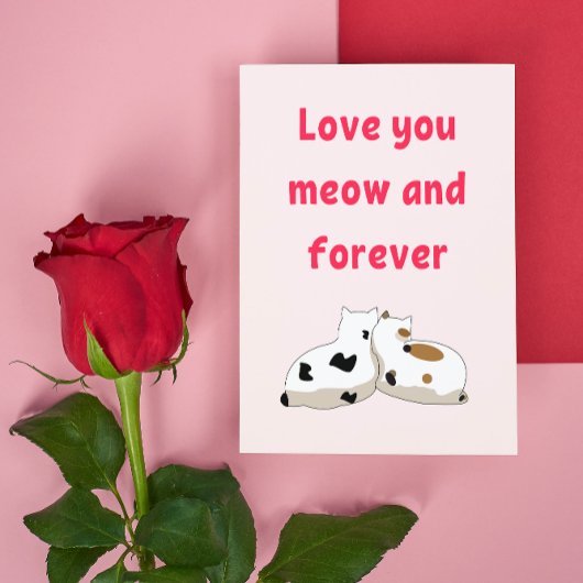 Liefde voor jou miauw en voor altijd | Katten Roze Briefkaart