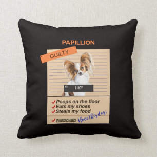 Liefde Voor Mijn Papillon Ondanks Slechte Gewoonte Kussen