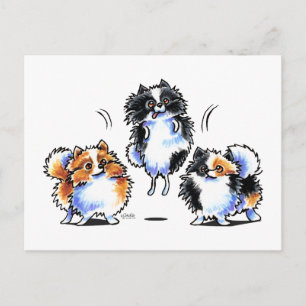 Liefde voor Parti Pomeranians Briefkaart