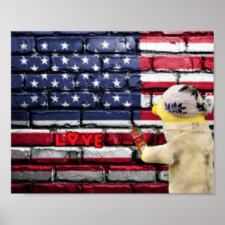 Liefde voor USA graffiti muur kunst. Poster