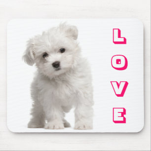 Liefde Witte Maltese Puppy Hond Muismat