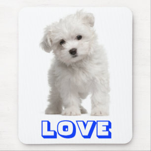 Liefde Witte Maltese Puppy Hond Muismat