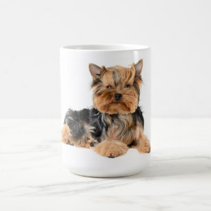 Liefde Yorkshire Terrier Puppy Hond - Yorkie Koffiemok