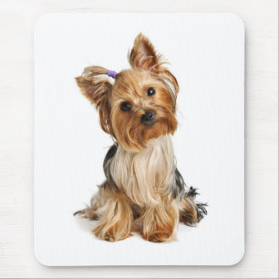 Liefde Yorkshire Terrier Puppy Muismat