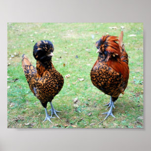 Liefde zit in de lucht poster