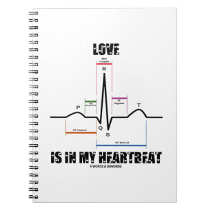 Liefde zit in mijn hartslag ECG ECG Electrocardiog Notitieboek