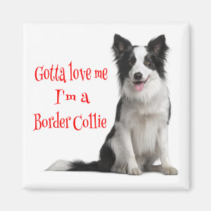 Liefde zwart-witrand Collie Puppy Red Magnet Magneet