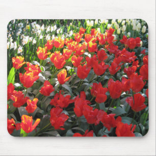 Liefde's Truest Language Muismat