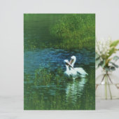 Liefdes vogels witte pelikaan koppel MWUH! (Staand voorkant)