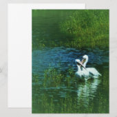 Liefdes vogels witte pelikaan koppel MWUH! (Voorkant / Achterkant)