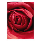 liefdesbruiloft (Voorkant)