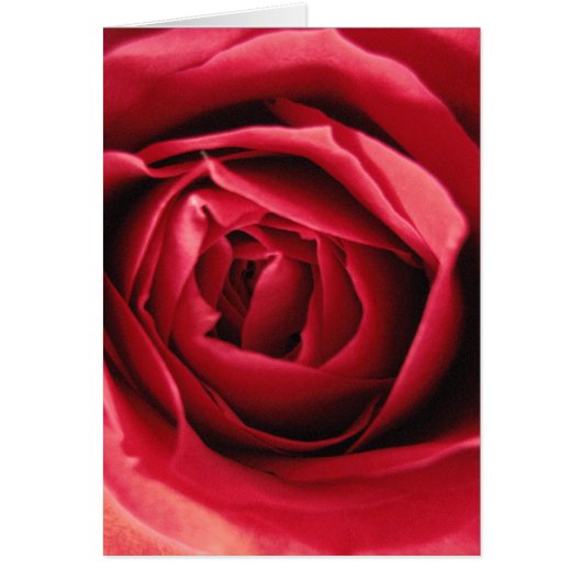 liefdesbruiloft (Voorkant)