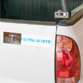 liefdesgeiten bumpersticker (Op Truck)