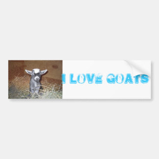 liefdesgeiten bumpersticker