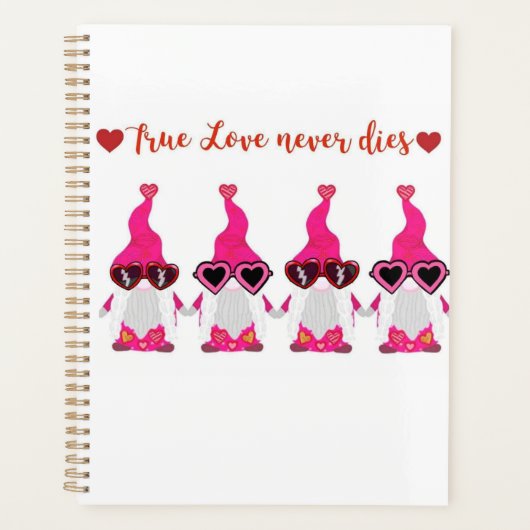 liefdeskabouters planner (Voorkant)