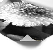 Liefdesverklaring Black and White Rose Poster (Hoek)