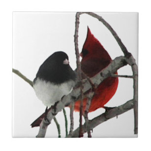Liefdesvogels onwaarschijnlijk paar tegeltje