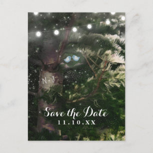 Liefdesvogels + Pijnboom Nacht Save the Date Aankondigingskaart