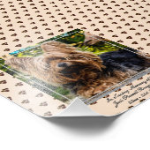 Liefdevolle Herinnering Jack Russell  FOTO Naam Aa Foto Afdruk (Hoek)