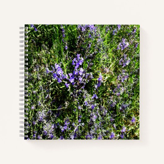 Liefdevolle Lavendel.... Notitieboek (Voorkant)