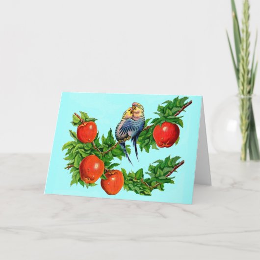 liefdevolle paraketten kaart (Voorkant)