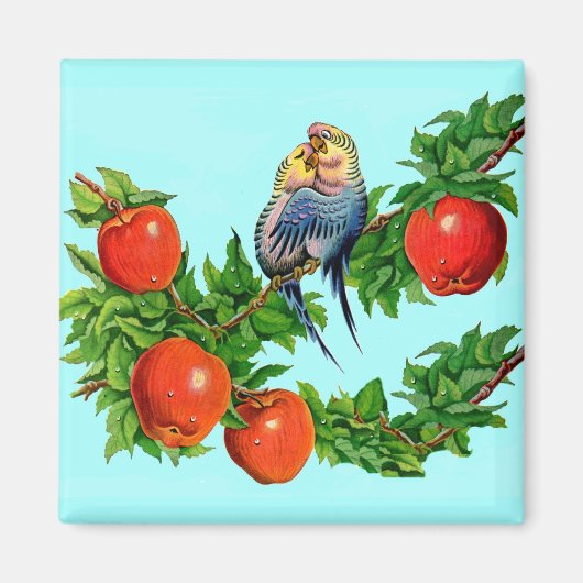 liefdevolle paraketten magneet (Voorkant)