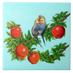 liefdevolle paraketten tegeltje