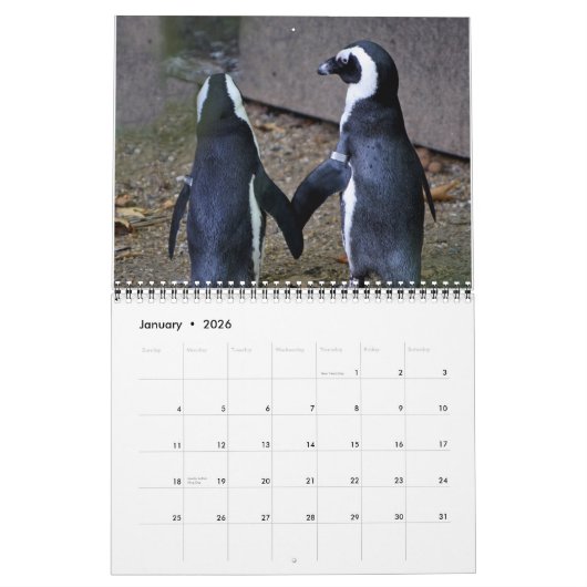 Liefdevolle zwanen Mooie Tortelduifjes Foto Collec Kalender (Jan 2026)