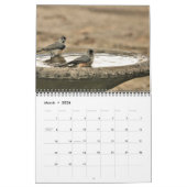 Liefdevolle zwanen Mooie Tortelduifjes Foto Collec Kalender (Mar 2026)