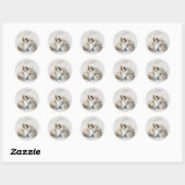 Liefdezwanen  ronde sticker (Vel)