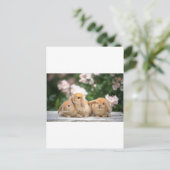 liefhebbende konijnen briefkaart (Staand voorkant)