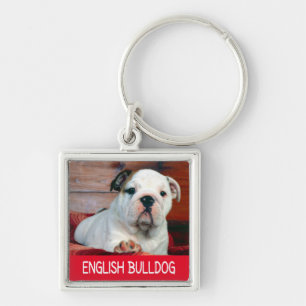 Liefhebber Engelse Bulldog Puppy Hond Sleutelhange Sleutelhanger