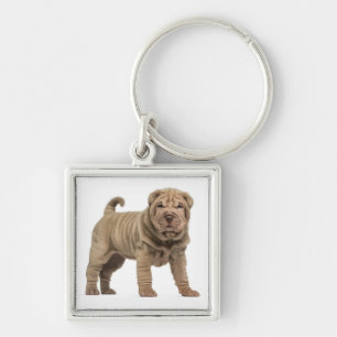 Liefhebber van Chinese Shar Pei Puppy Hond Sleutel Sleutelhanger