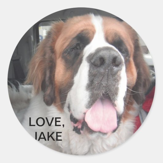 LIEFJE, JAKE STICKER (Voorkant)