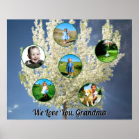 Liefje oma Witte Bloeiende Boom Zes Foto's