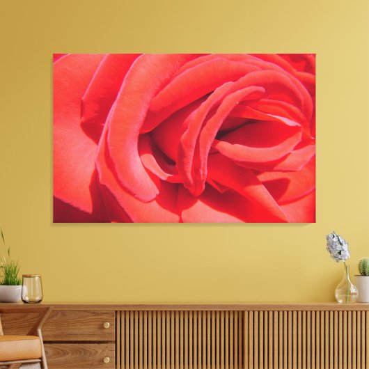 liefje rode rozenbloem fotokunst werk. liefde, geh canvas afdruk (Insitu (Woonkamer))