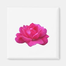 liefje roze roze roze bloem