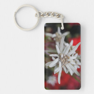 Lieflijke Edelweiss Leontopodium nivale Sleutelhanger