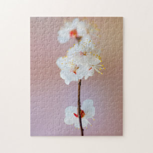 Lieflijke Japanse abrikozenbloesem in de lente Legpuzzel