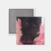 Liefs, Miss Harley Magneet (Voorkant / Achterkant)