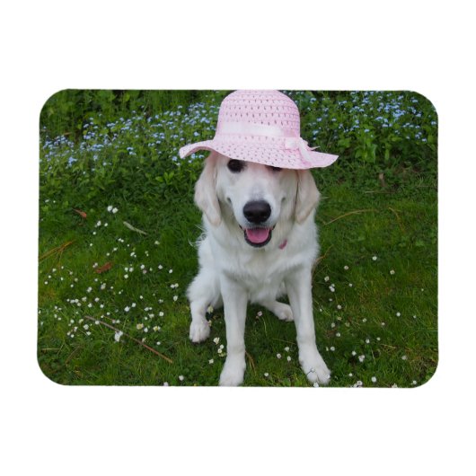 Liefste hond ter wereld magneet (Horizontaal)