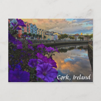 Liège, fleurs de l'Irlande, carte postale de Lee