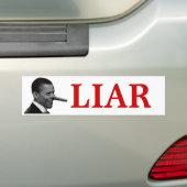 LIER BUMPERSTICKER (Op auto)