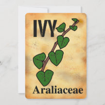 Lierre famille de plantes art en ligne Carte plat