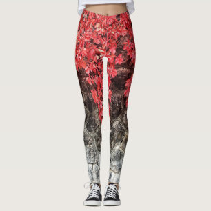 lierre rouge rose feuille leggings muraux en pierr