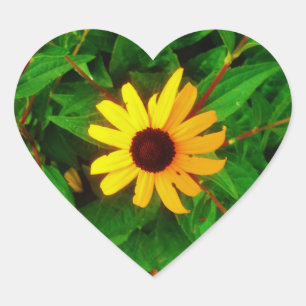 Lieve Black Eyed Susan Sunflower Hart Sticker