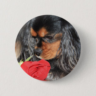 Lieve Cavalier King Charles Spaniel Ronde Button 5,7 Cm