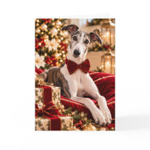 Lieve Greyhound Kerstkaart