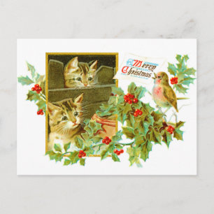 Lieve Katten en Robin Kerstmis met de Cute Vinta Feestdagenkaart